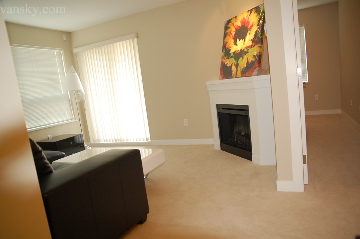 211010083356_livingroom and fireplace.JPG